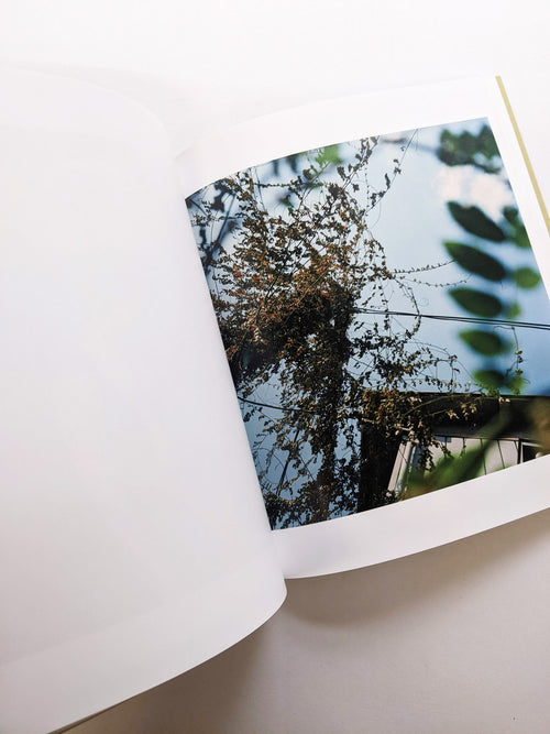 SMALL MYTHS / Mikiko Hara