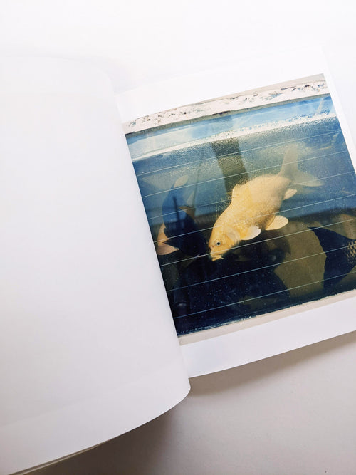 SMALL MYTHS / Mikiko Hara