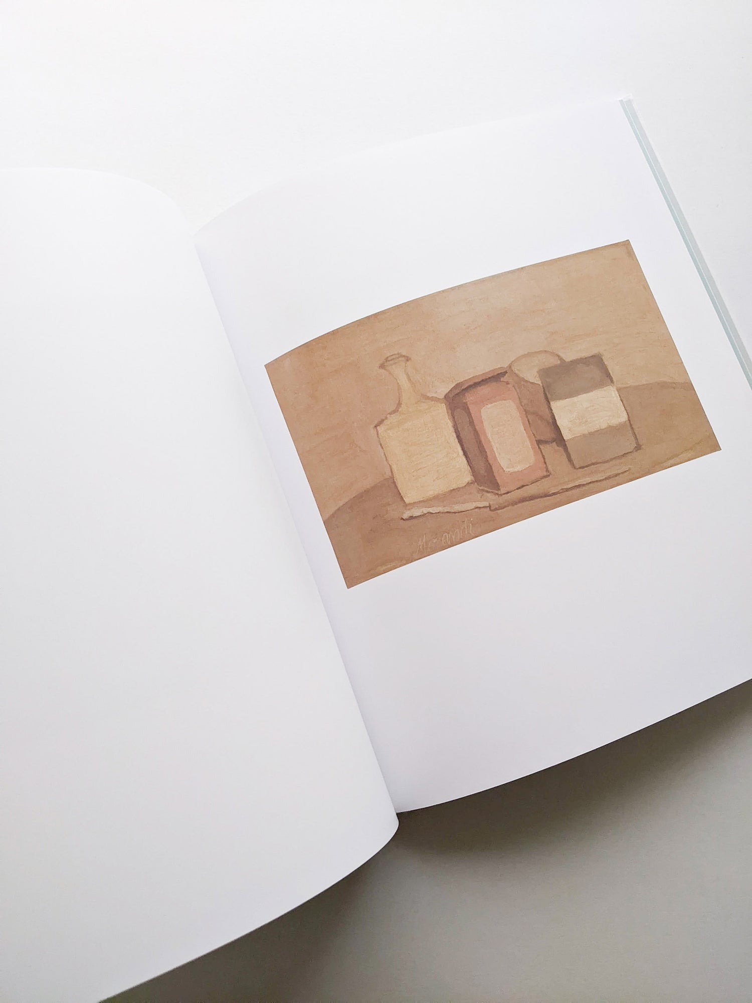 LATE PAINTINGS / Giorgio Morandi