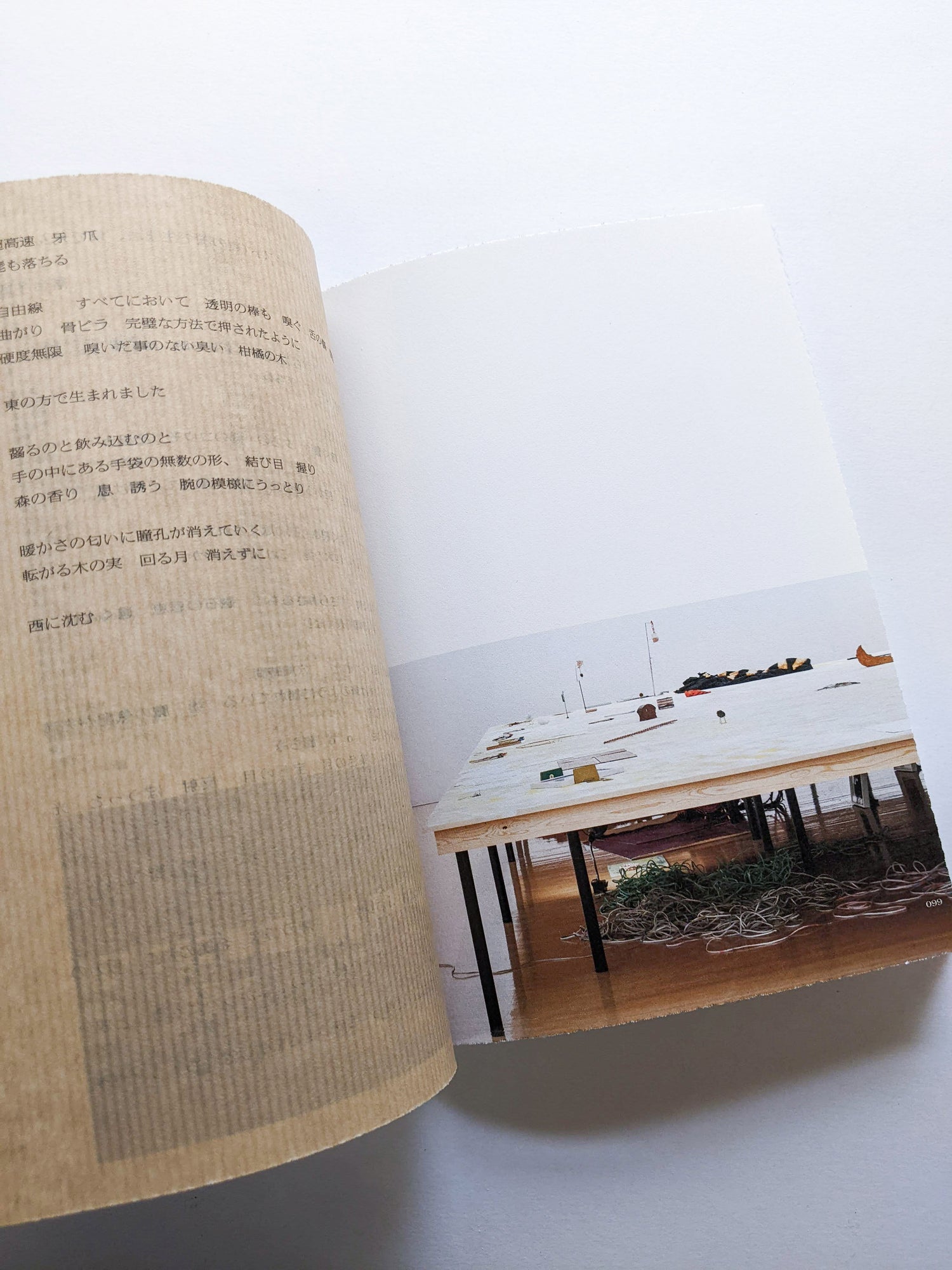 ねこのほそ道　Cat’s Narrow Road