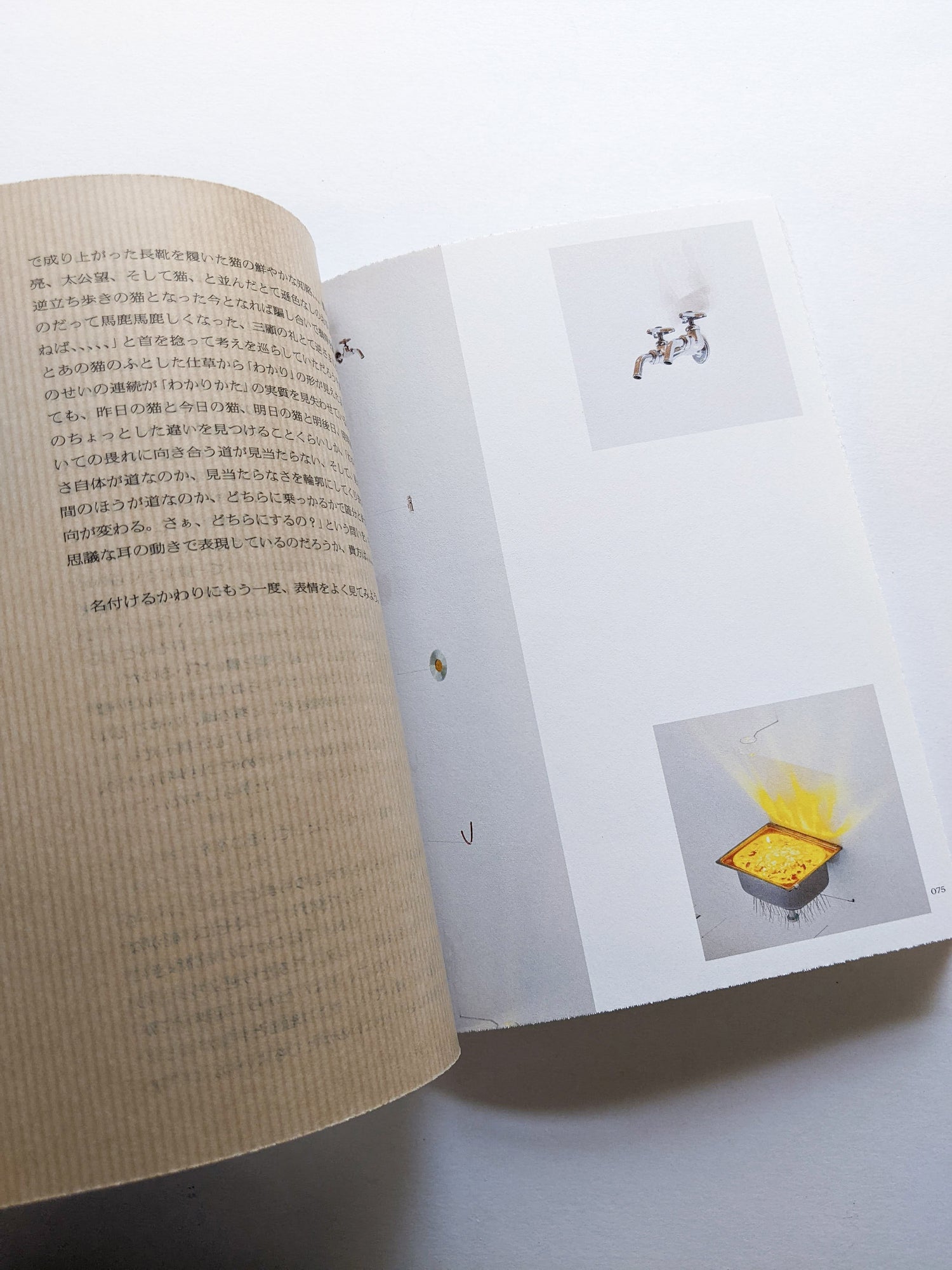 ねこのほそ道　Cat’s Narrow Road