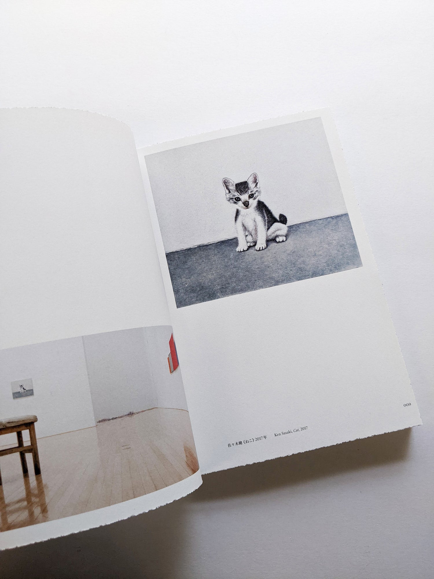ねこのほそ道　Cat’s Narrow Road