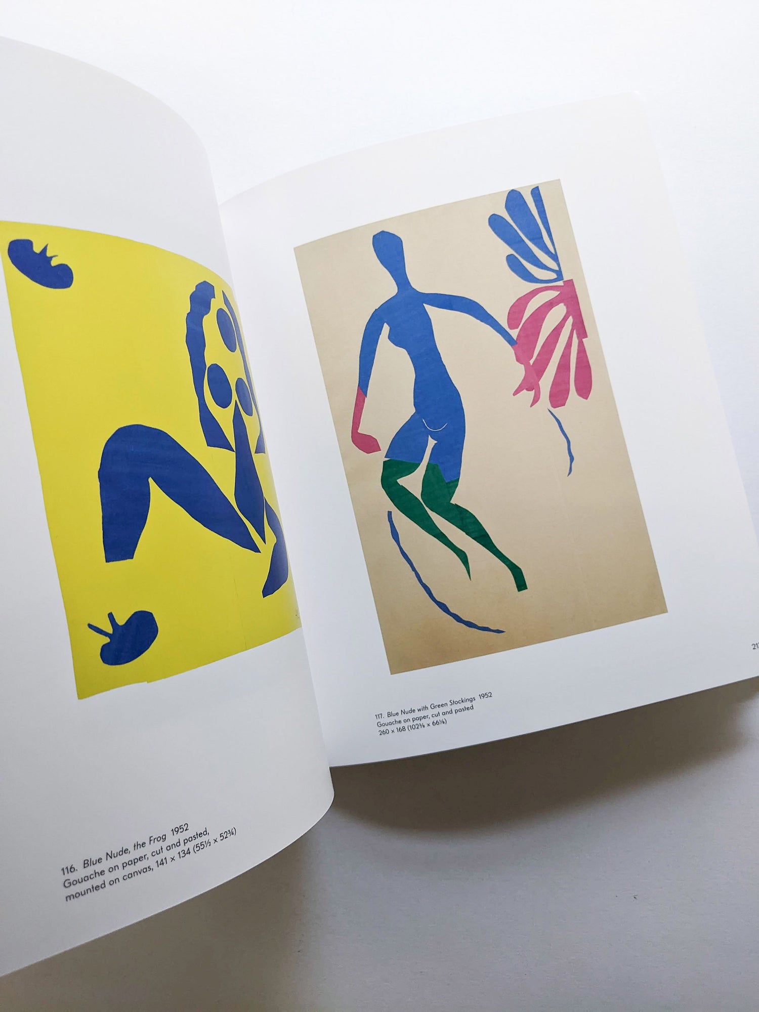 THE CUT-OUTS / Henri Matisse