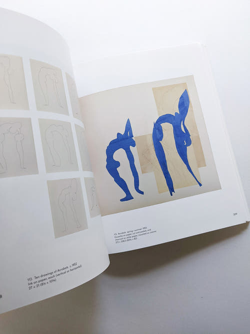 THE CUT-OUTS / Henri Matisse