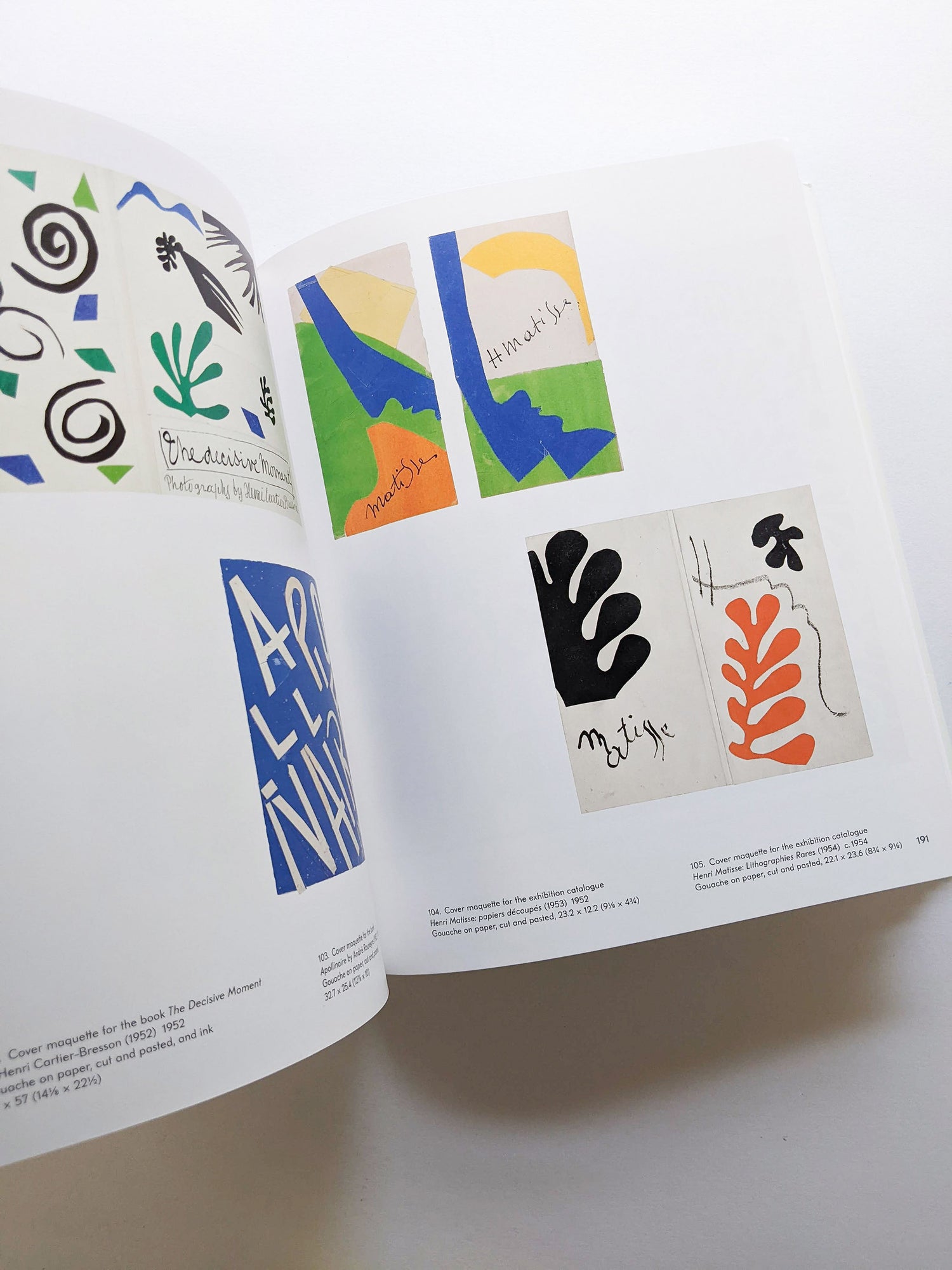 THE CUT-OUTS / Henri Matisse