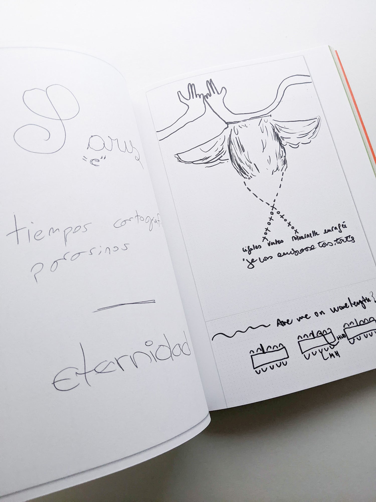 DRAWING TOGETHER / Hans Ulrich Obrist, Hilar Stadler, David Glanzmann