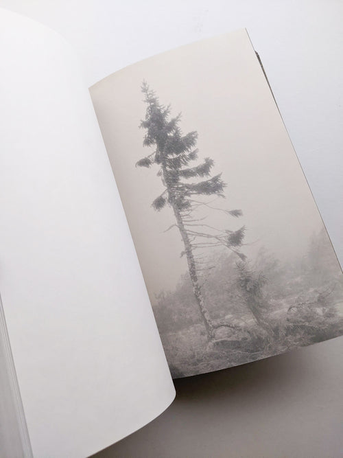 OLD TJIKKO [SECOND EDITION] / Nicolai Howalt