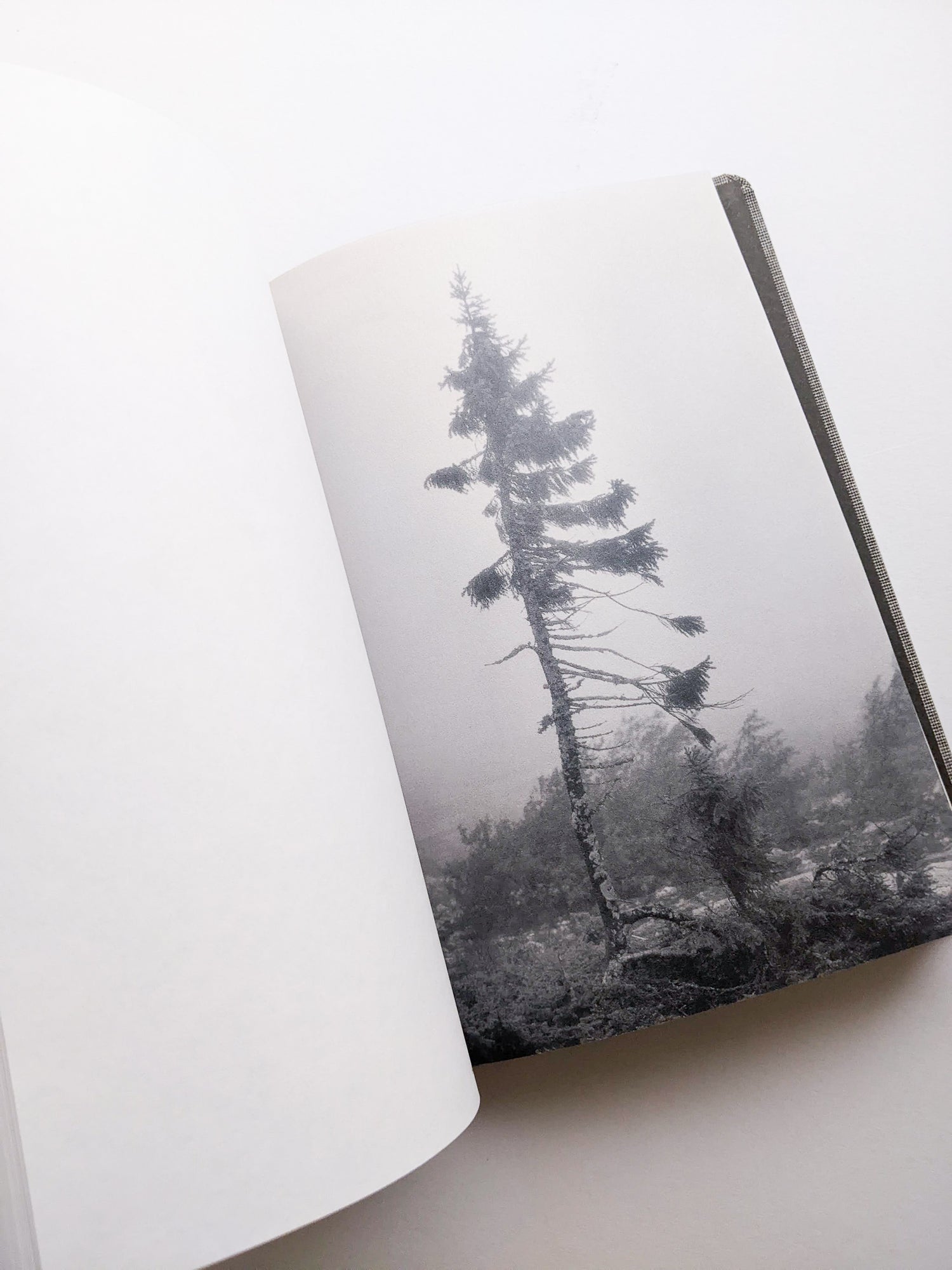 OLD TJIKKO [SECOND EDITION] / Nicolai Howalt