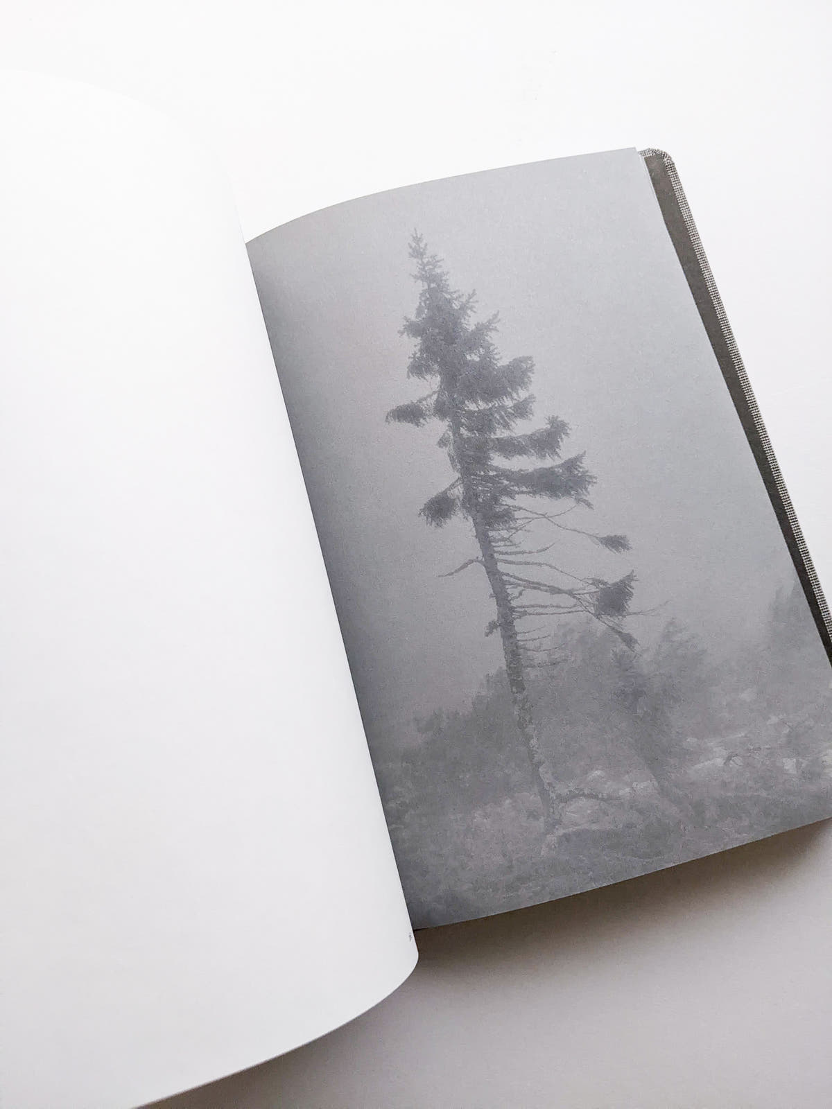 OLD TJIKKO [SECOND EDITION] / Nicolai Howalt