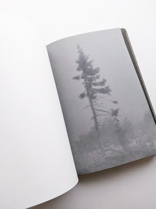 OLD TJIKKO [SECOND EDITION] / Nicolai Howalt