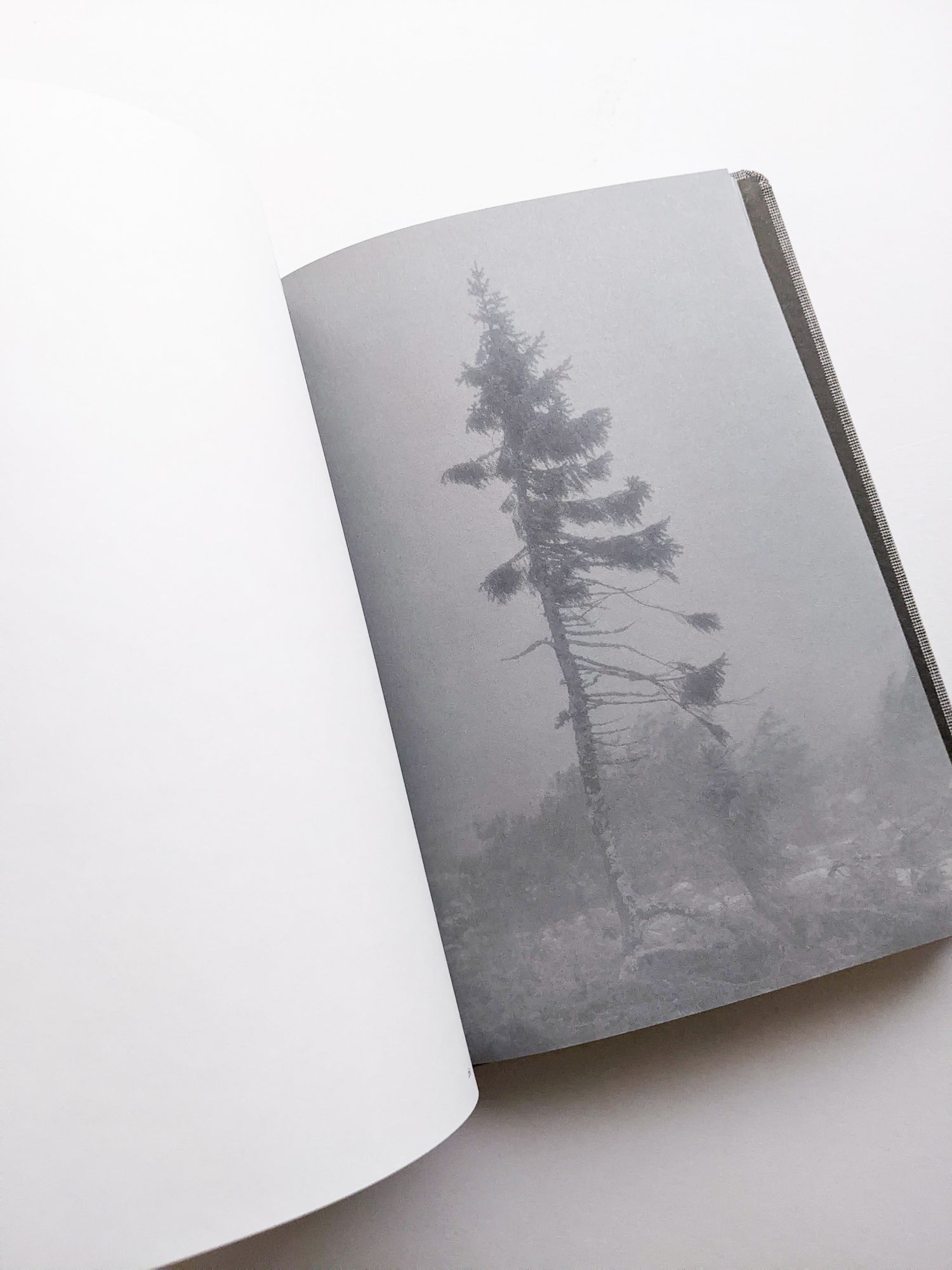 OLD TJIKKO [SECOND EDITION] / Nicolai Howalt