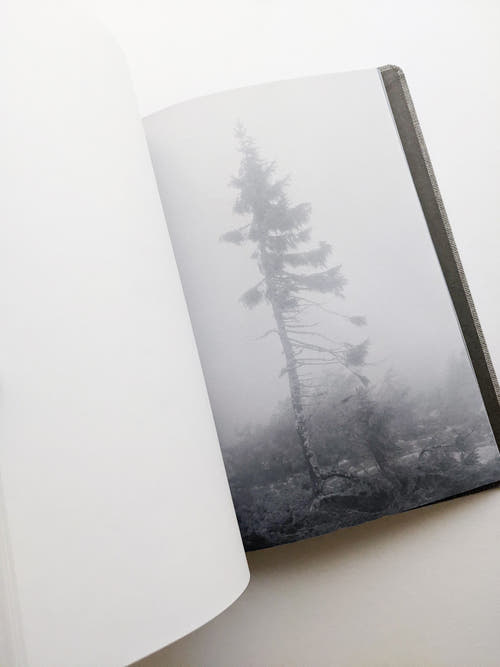 OLD TJIKKO [SECOND EDITION] / Nicolai Howalt