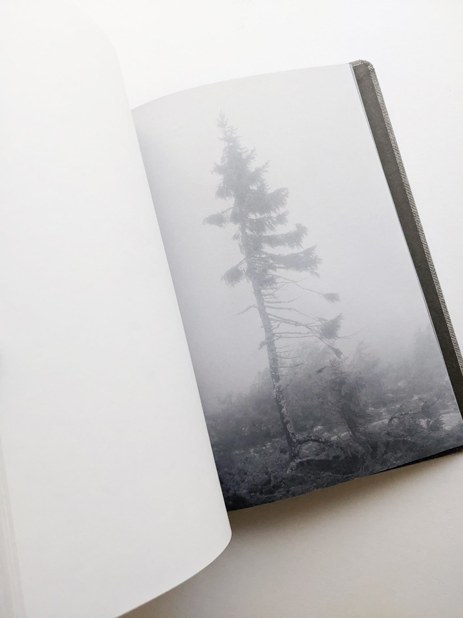 OLD TJIKKO [SECOND EDITION] / Nicolai Howalt