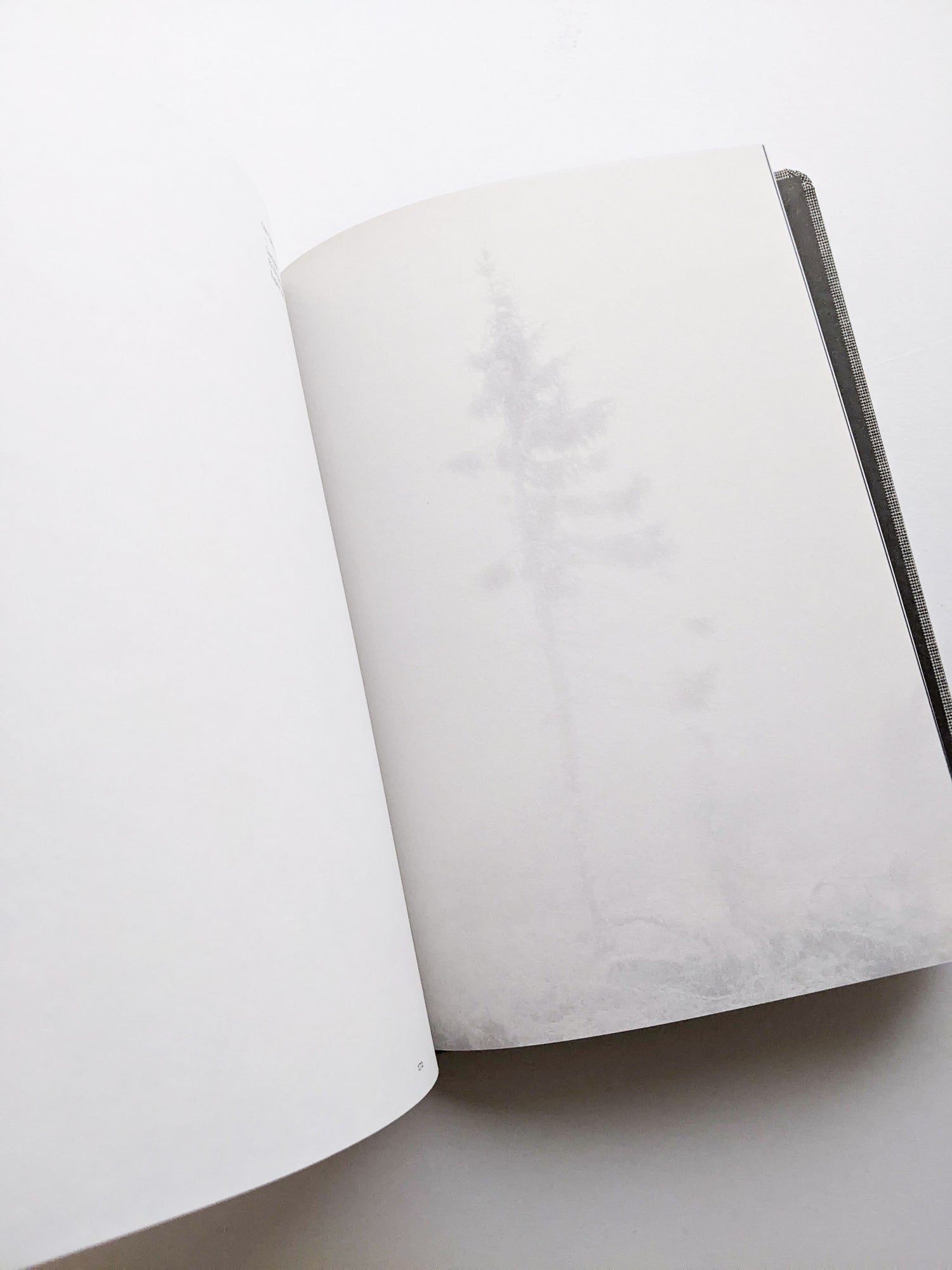 OLD TJIKKO [SECOND EDITION] / Nicolai Howalt