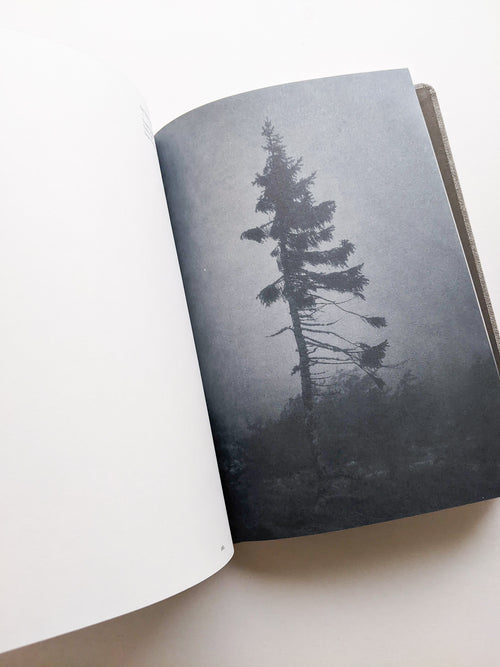 OLD TJIKKO [SECOND EDITION] / Nicolai Howalt