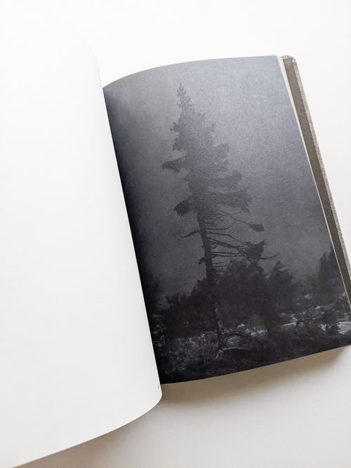 OLD TJIKKO [SECOND EDITION] / Nicolai Howalt