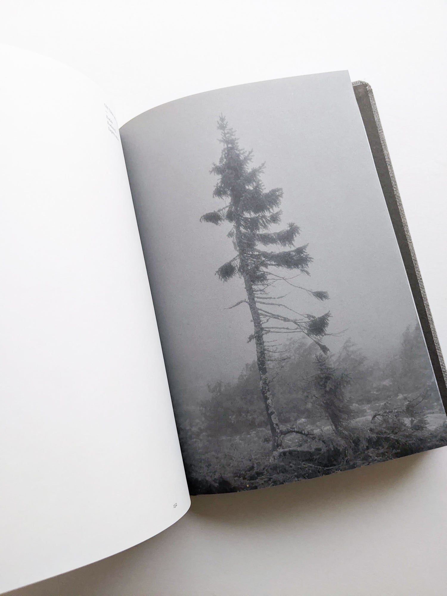 OLD TJIKKO [SECOND EDITION] / Nicolai Howalt