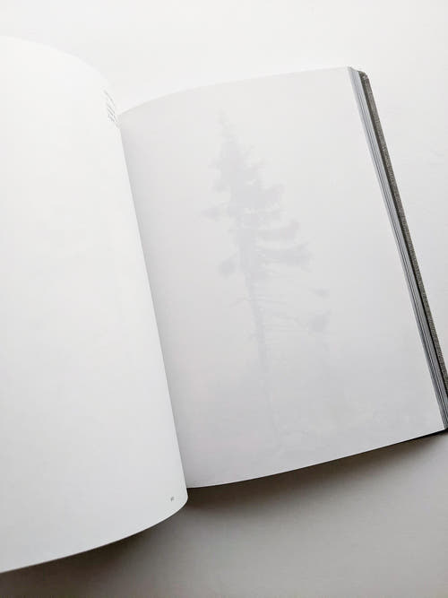 OLD TJIKKO [SECOND EDITION] / Nicolai Howalt