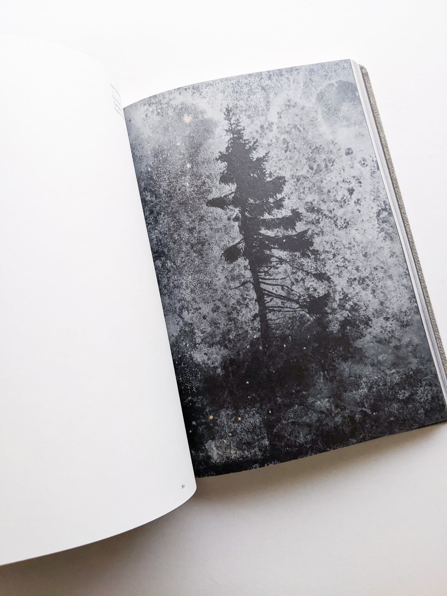 OLD TJIKKO [SECOND EDITION] / Nicolai Howalt