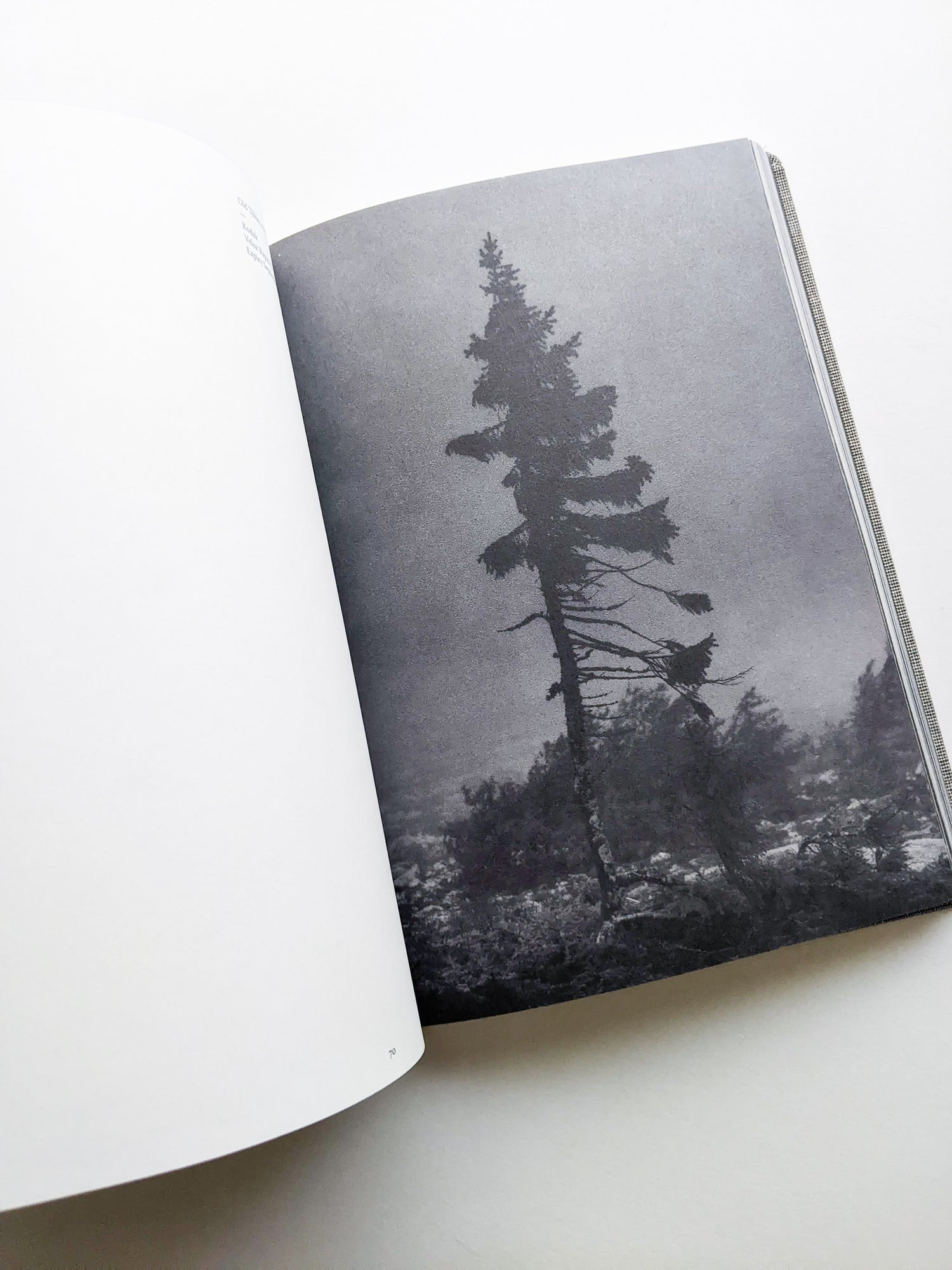 OLD TJIKKO [SECOND EDITION] / Nicolai Howalt