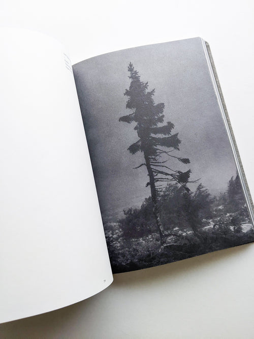 OLD TJIKKO [SECOND EDITION] / Nicolai Howalt