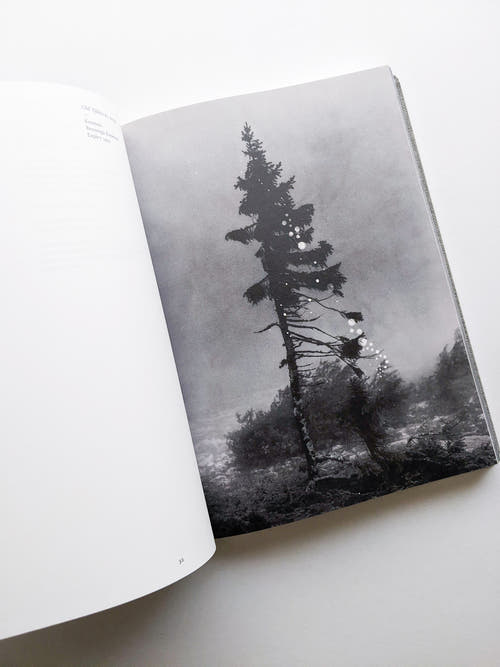 OLD TJIKKO [SECOND EDITION] / Nicolai Howalt