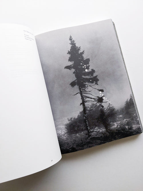 OLD TJIKKO [SECOND EDITION] / Nicolai Howalt