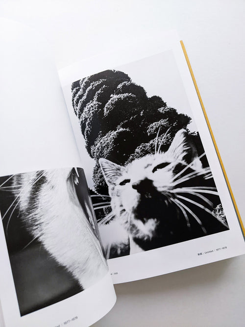 Masahisa Fukase 1961-1991 Retrospective