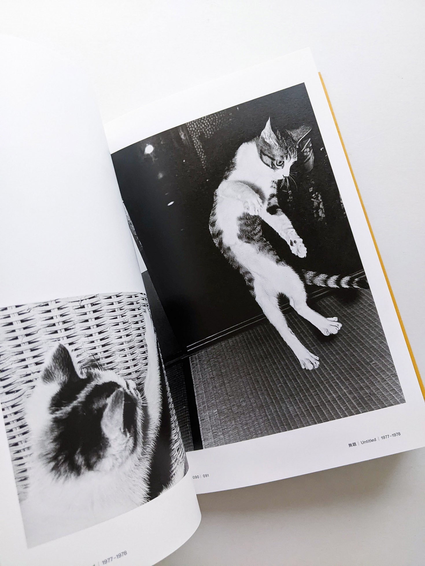 Masahisa Fukase 1961-1991 Retrospective