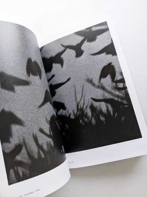 Masahisa Fukase 1961-1991 Retrospective