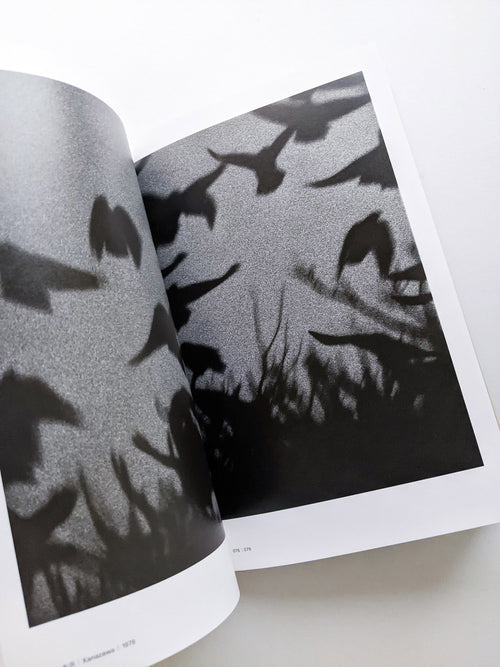 Masahisa Fukase 1961-1991 Retrospective