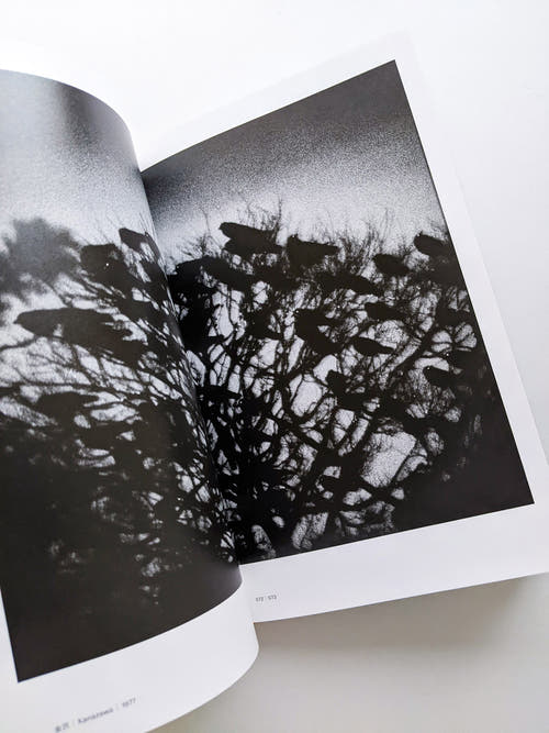 Masahisa Fukase 1961-1991 Retrospective