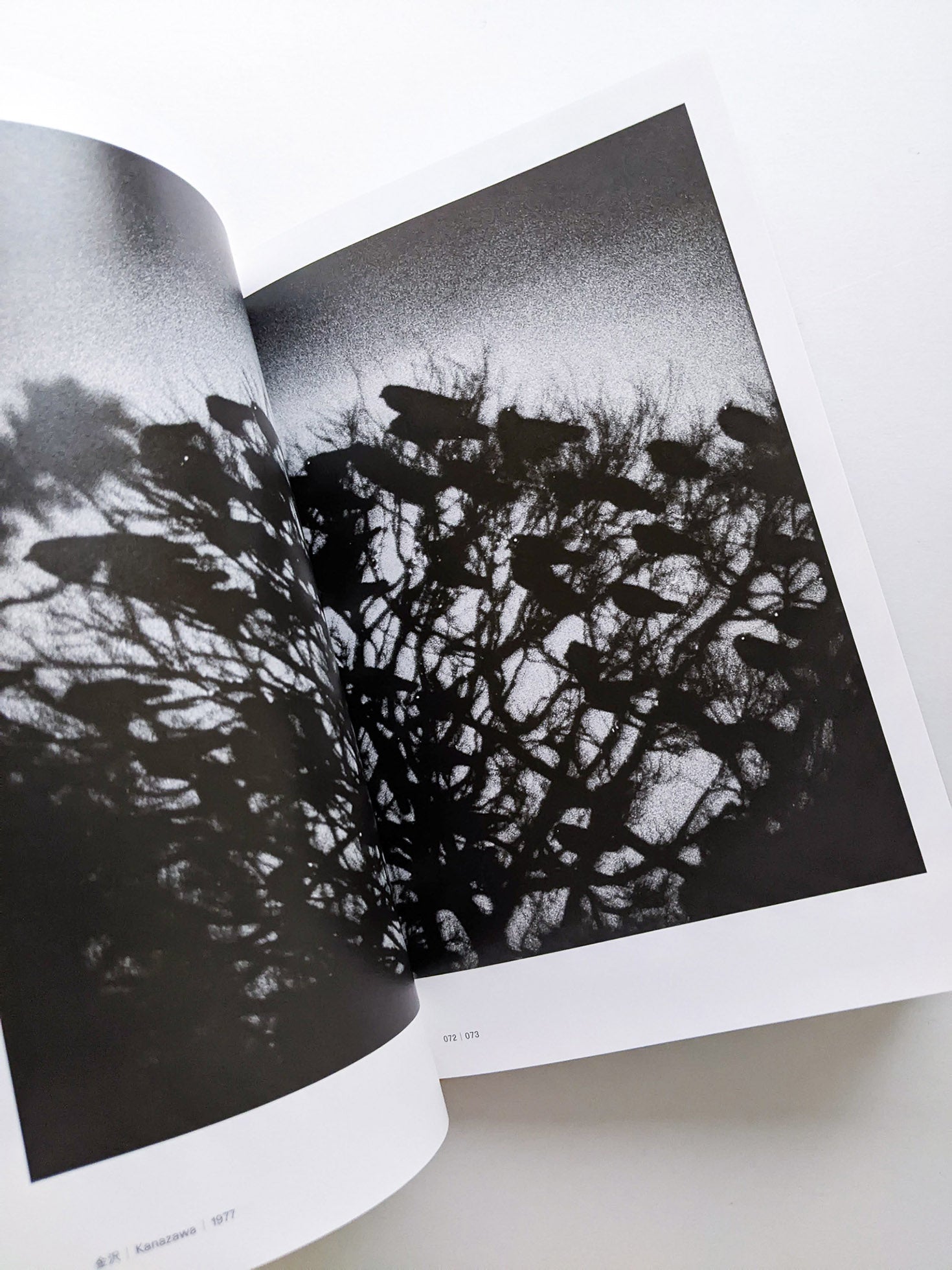 Masahisa Fukase 1961-1991 Retrospective