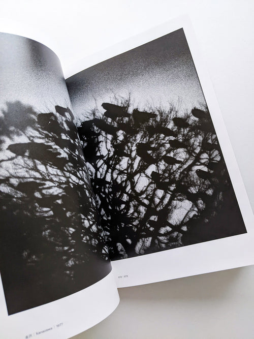 Masahisa Fukase 1961-1991 Retrospective