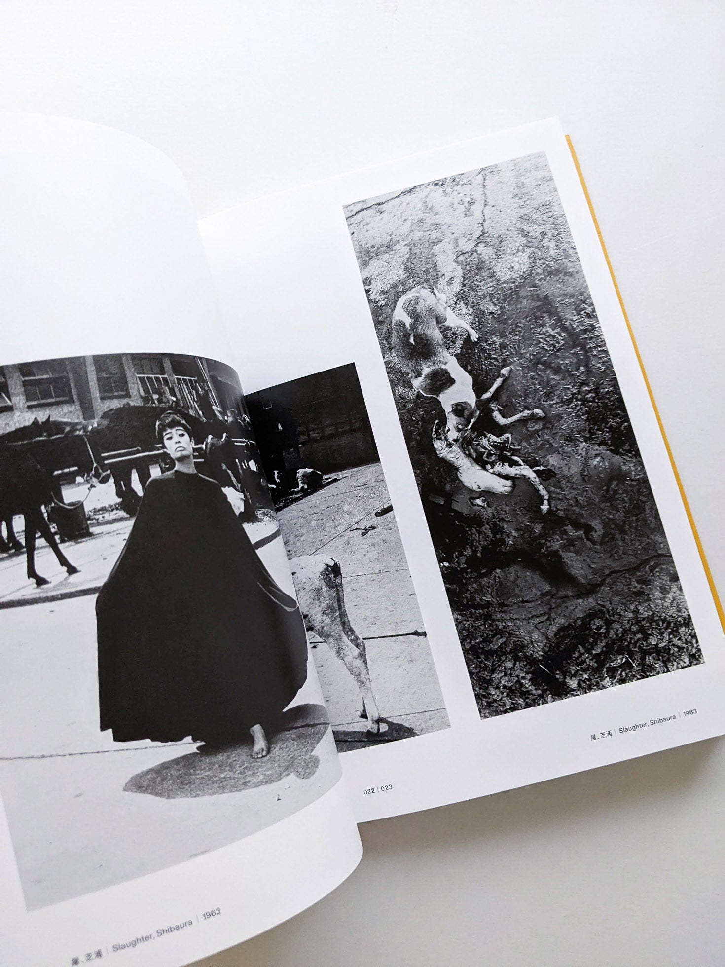 Masahisa Fukase 1961-1991 Retrospective