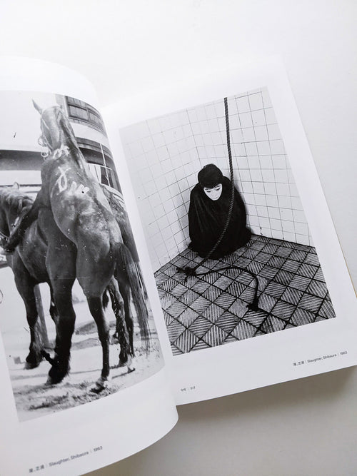 Masahisa Fukase 1961-1991 Retrospective