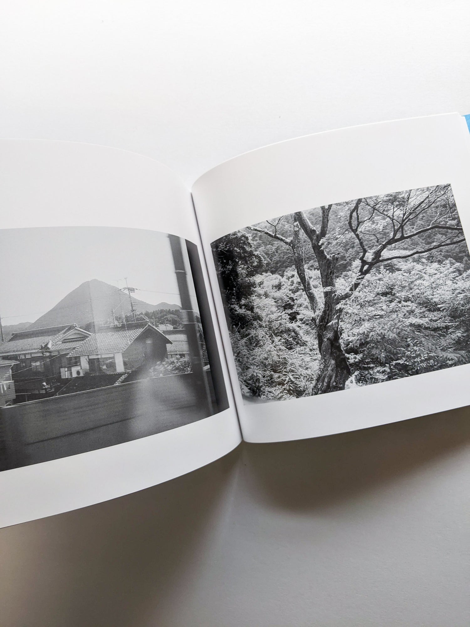 平行写真 / 富澤大輔 [SIGNED]