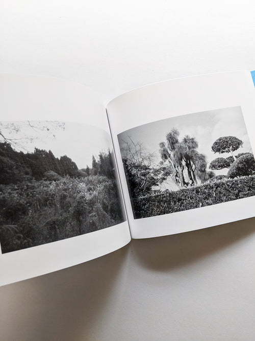 平行写真 / 富澤大輔 [SIGNED]