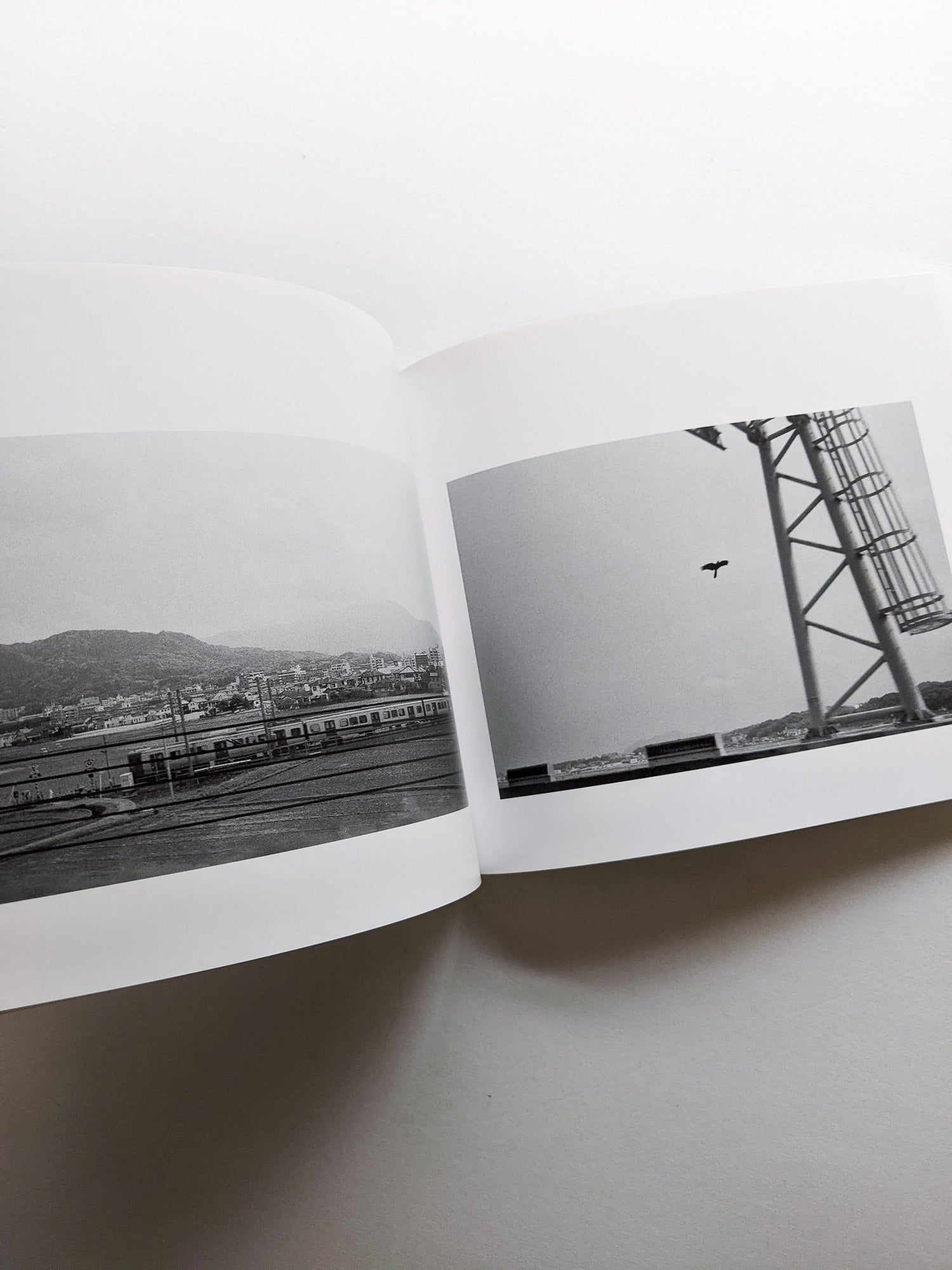 平行写真 / 富澤大輔 [SIGNED]