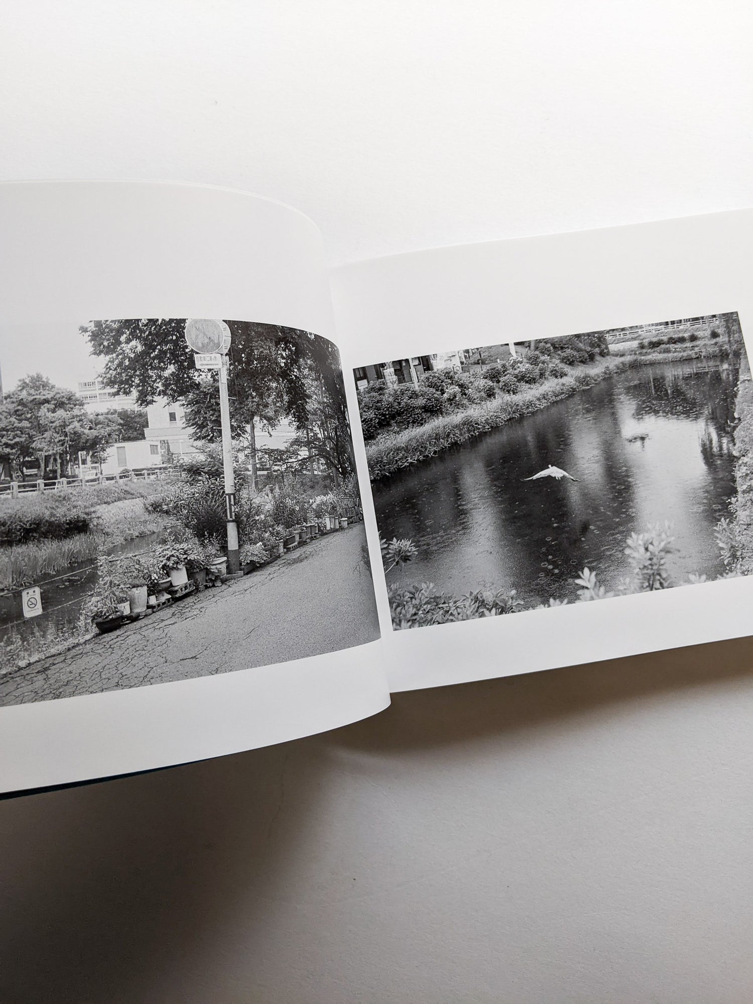 平行写真 / 富澤大輔 [SIGNED]