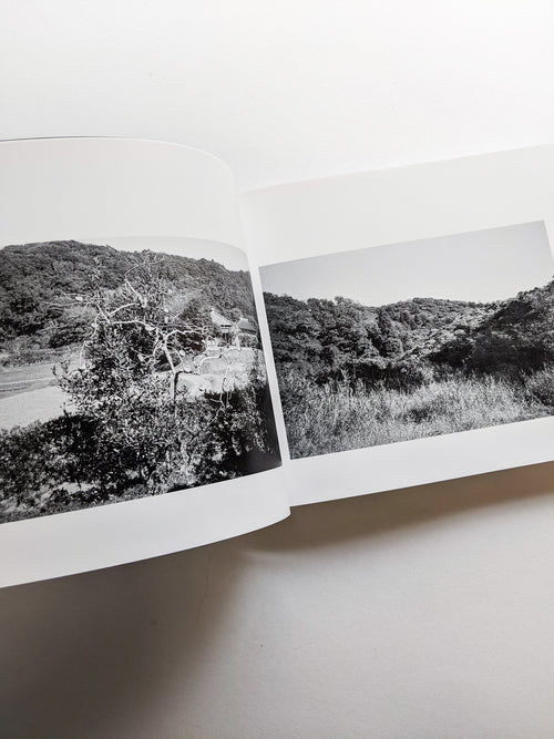 平行写真 / 富澤大輔 [SIGNED]