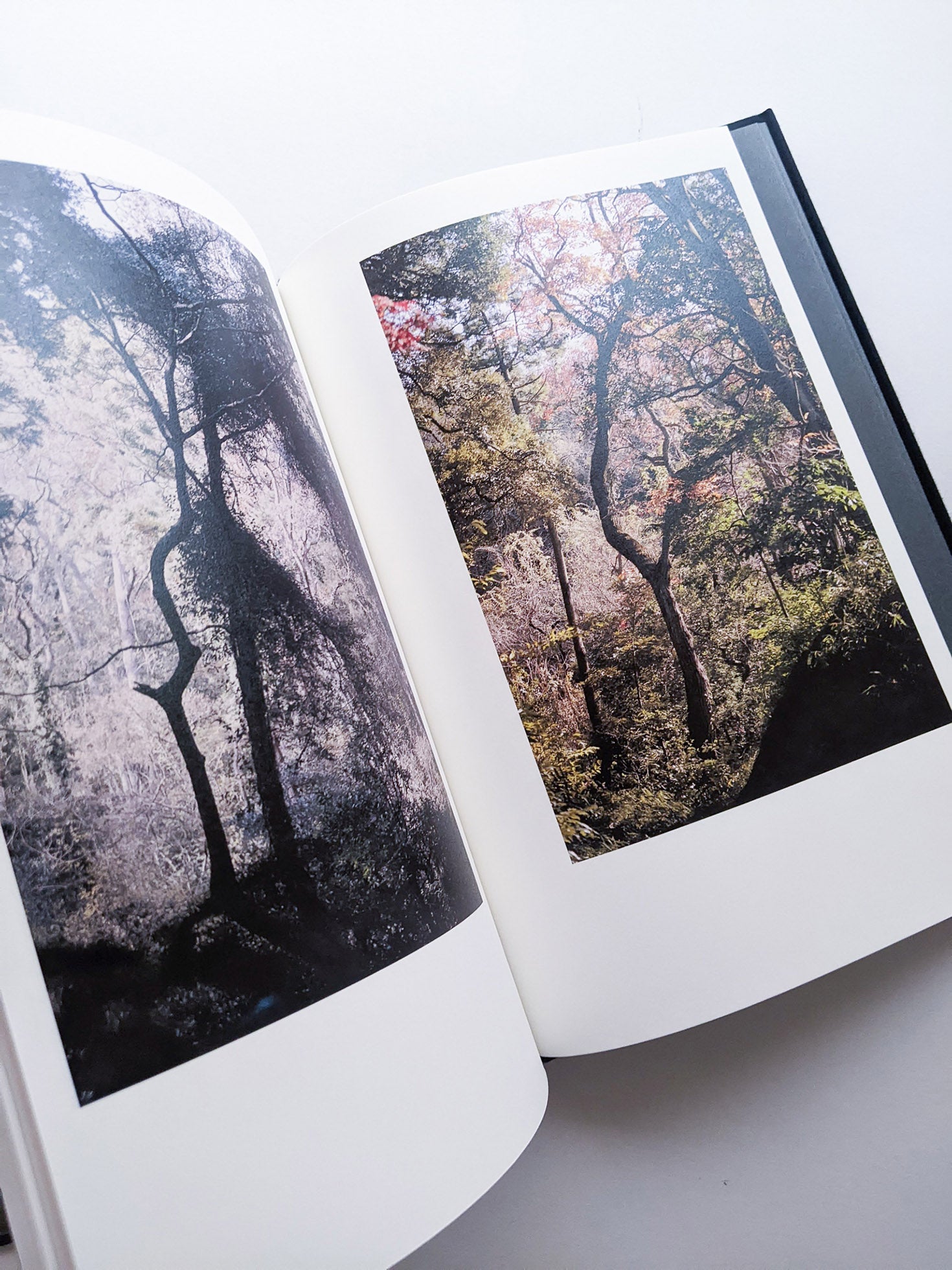 Helix / Shimpei Yamagami [SIGNED]