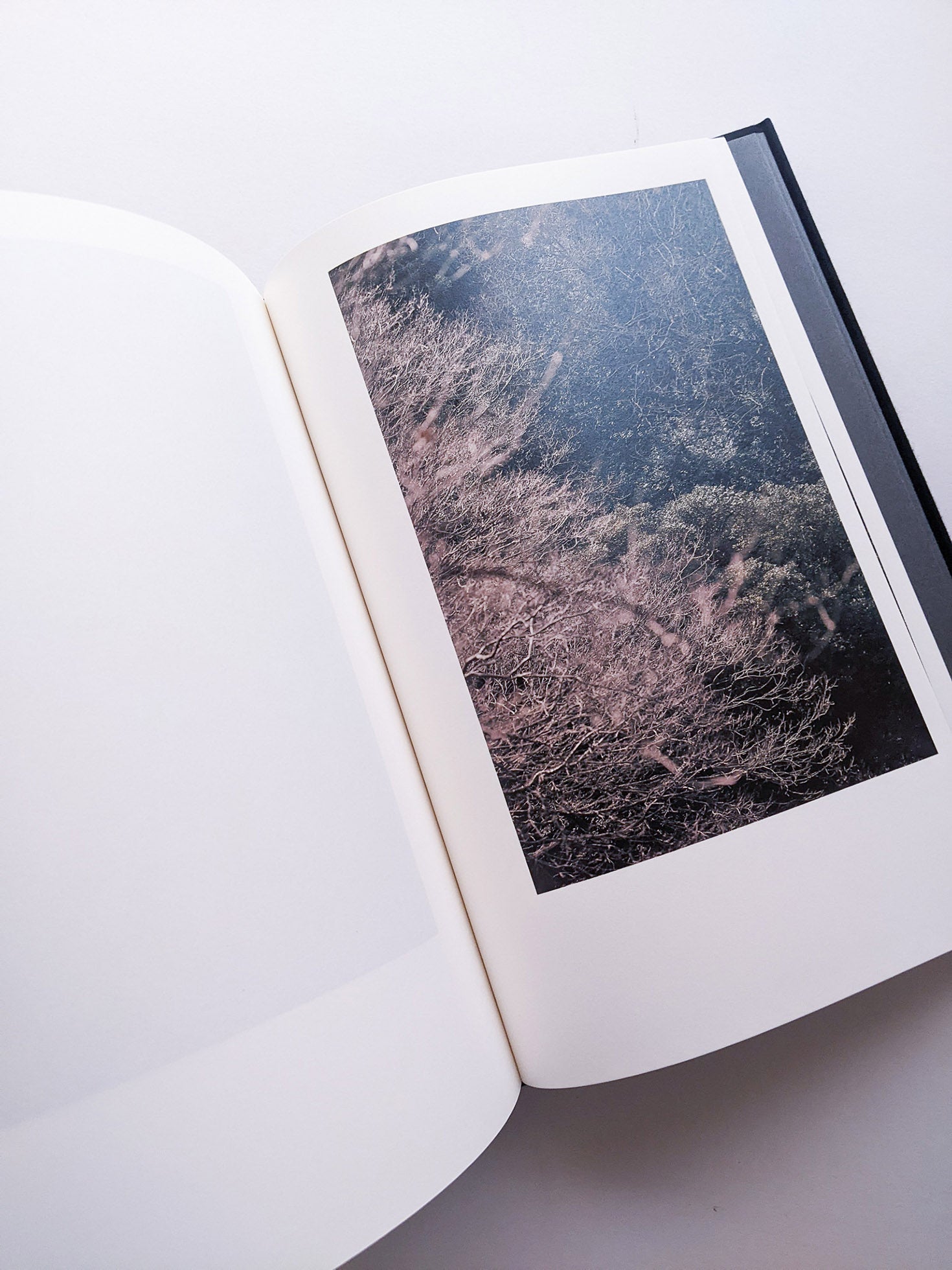 Helix / Shimpei Yamagami [SIGNED]