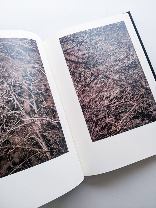 Helix / Shimpei Yamagami [SIGNED]