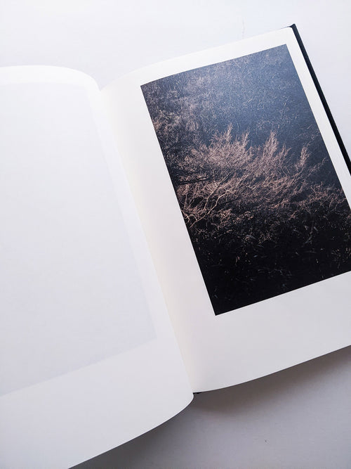 Helix / Shimpei Yamagami [SIGNED]