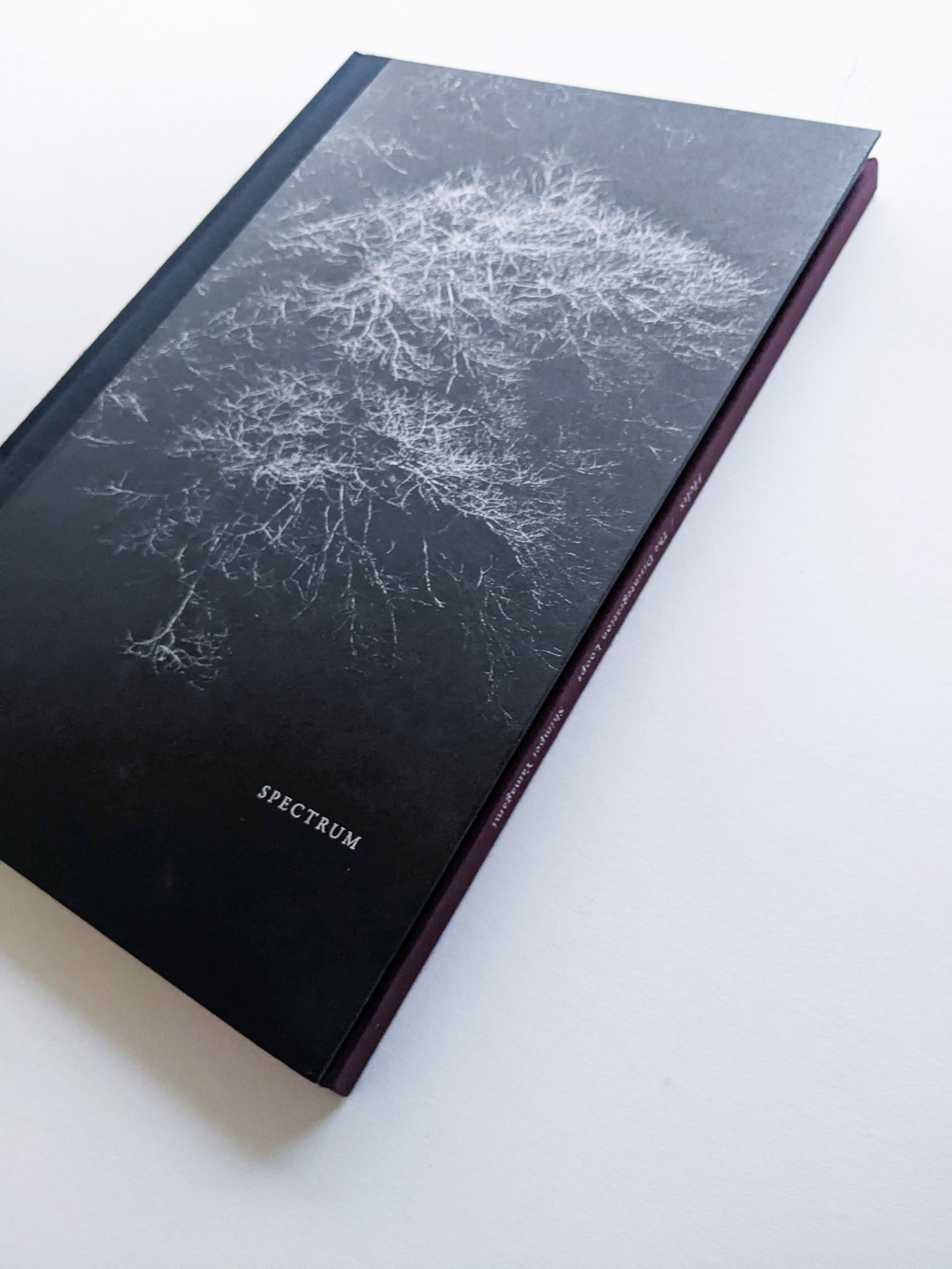 Helix / Shimpei Yamagami [SIGNED]