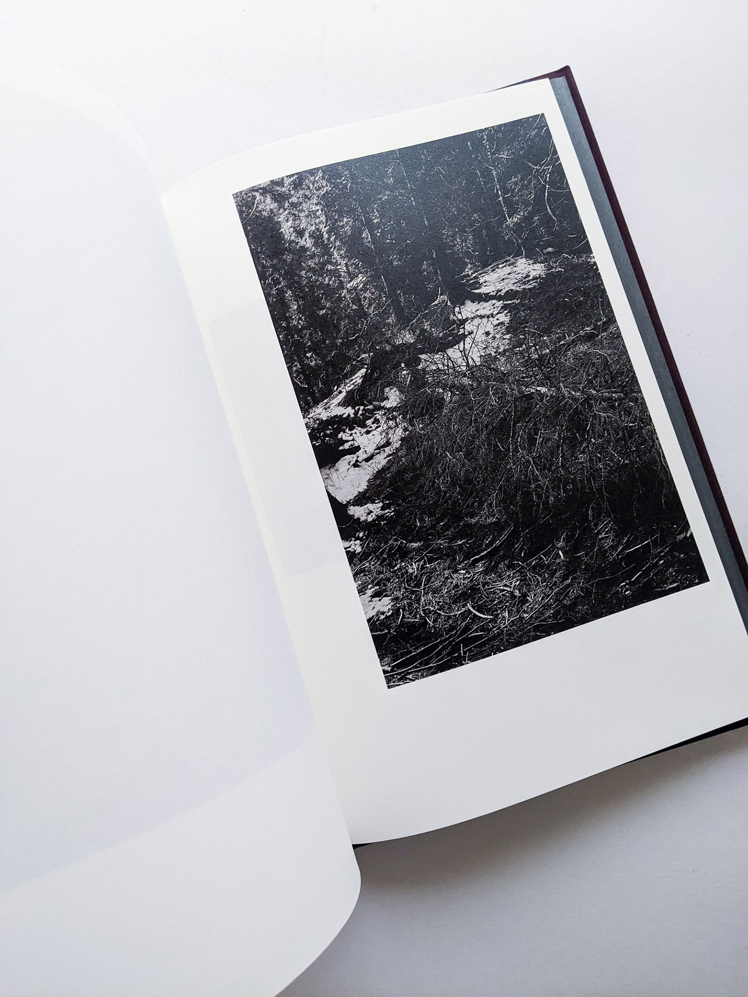 Helix / Shimpei Yamagami [SIGNED]