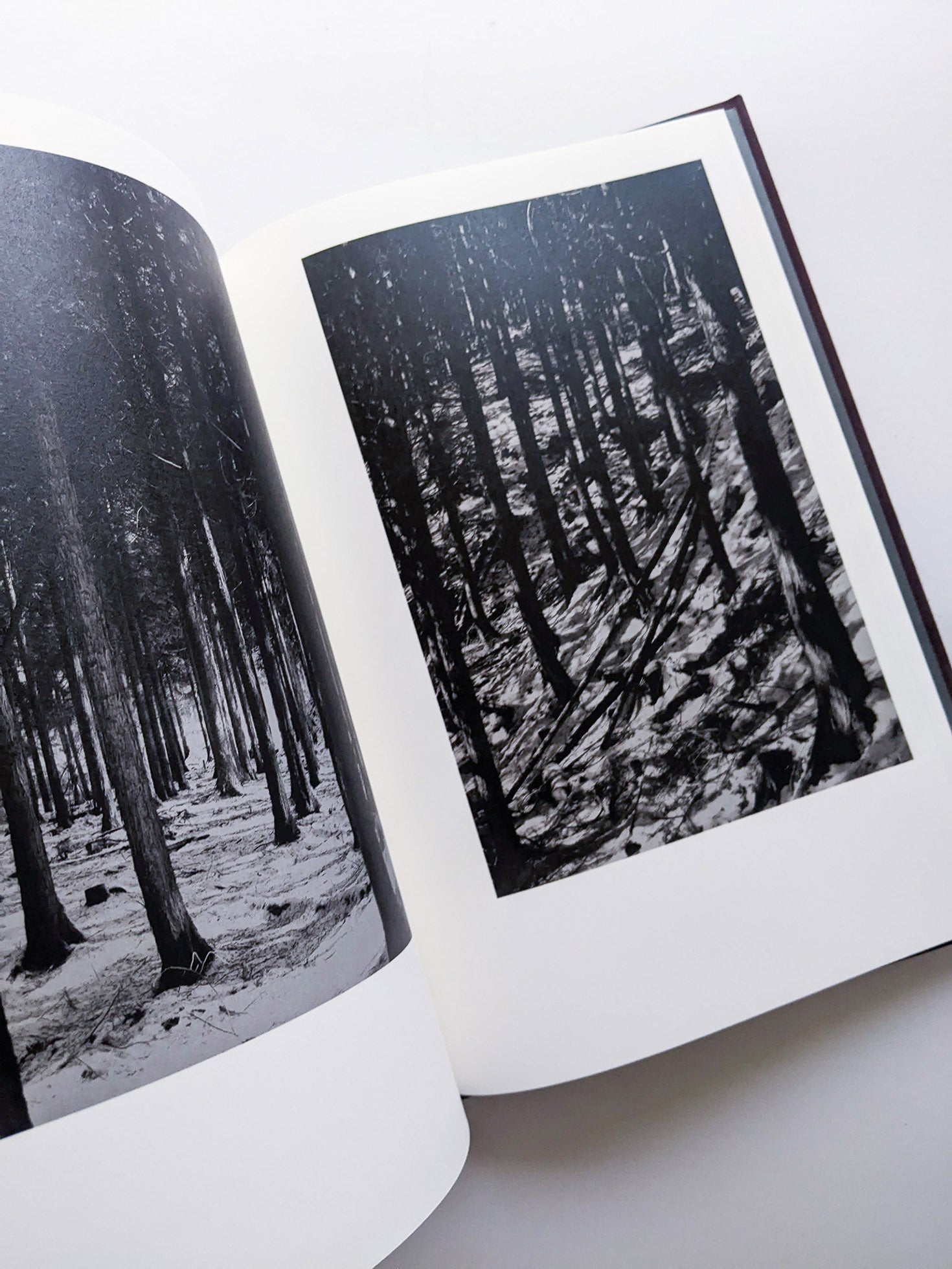 Helix / Shimpei Yamagami [SIGNED]