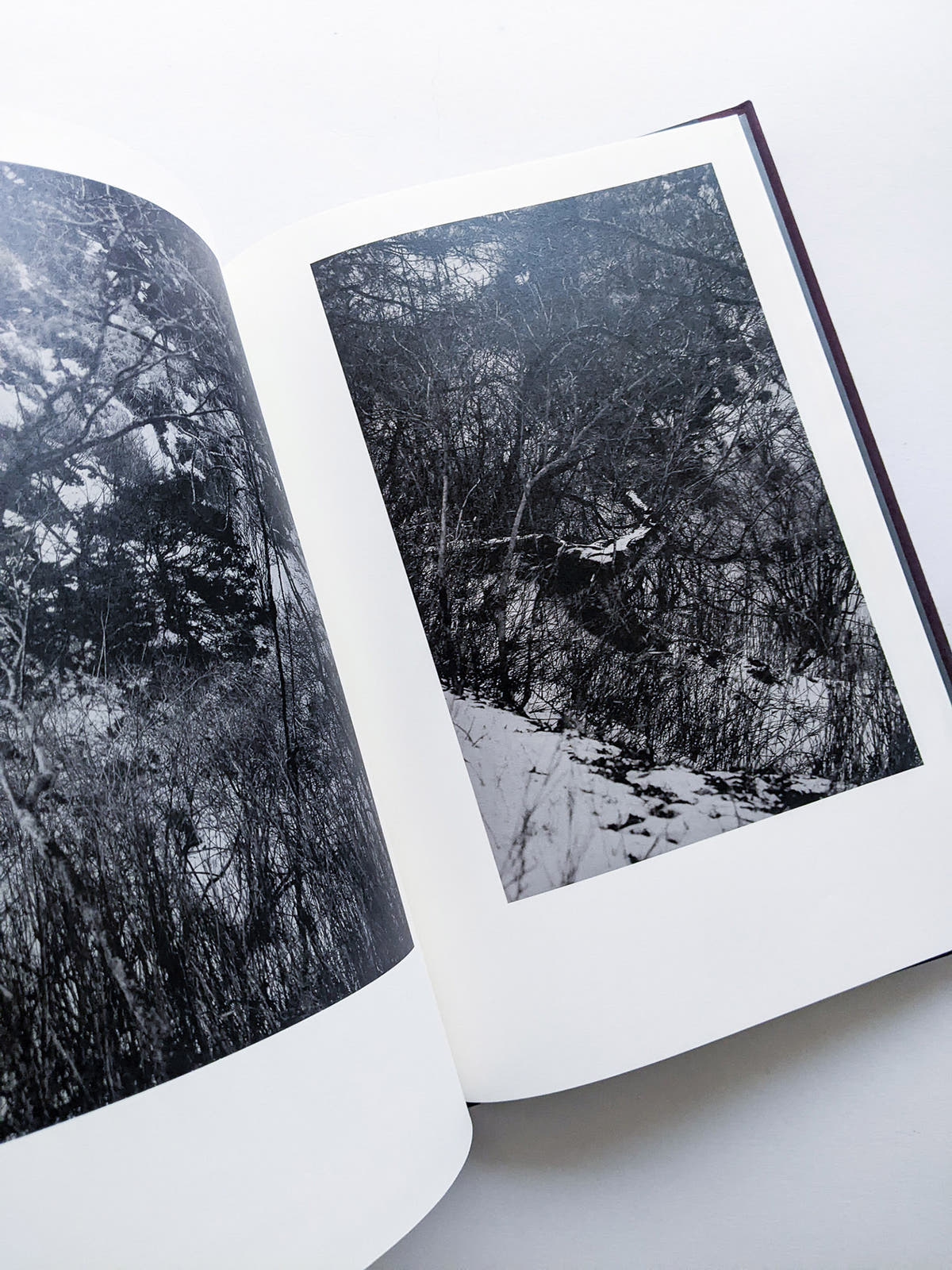 Helix / Shimpei Yamagami [SIGNED]