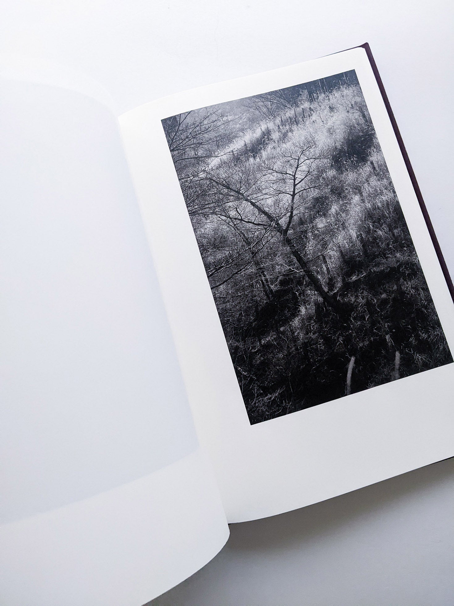 Helix / Shimpei Yamagami [SIGNED]